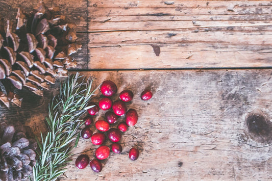 5 Unique Tips to Have Yourself a Sustainable Holiday Season