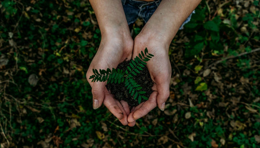 Tierra & Lava: a Sustainable Journey